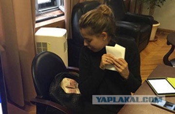 Правда о том, что случилось 1 марта ...