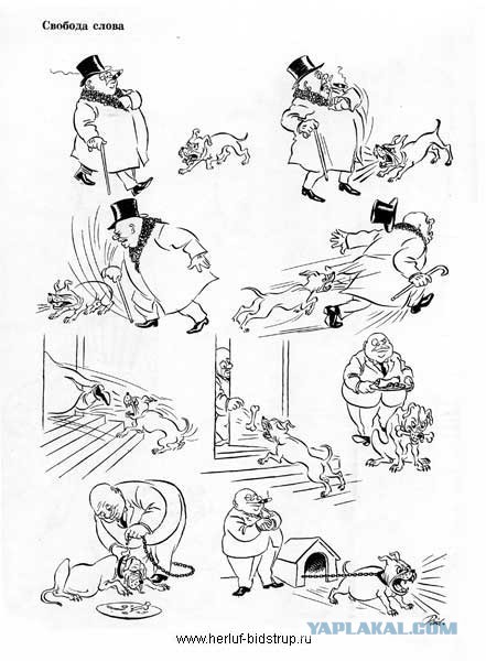 Интернет-скандал