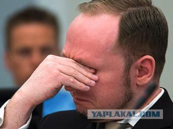 Европа пала без боя — События дня