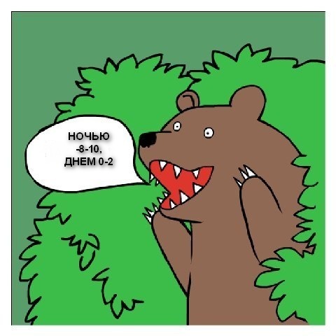 Погода на СТС-Челябинск