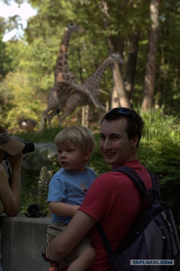 19 фотографий, где фон намного интересней переднего плана