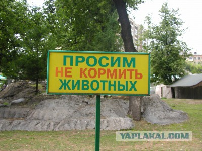Украинские военнослужащие жалуются на то, что американских солдат в Украине кормят лучше