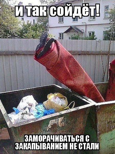 Подборка безудержного веселья