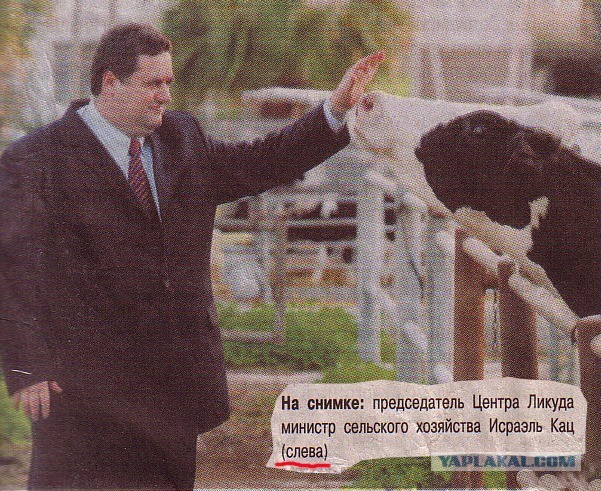 Всяко-разно. Юморок