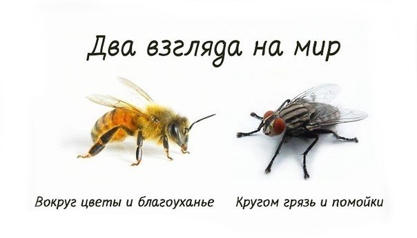 Разбор фильма "Время первых"