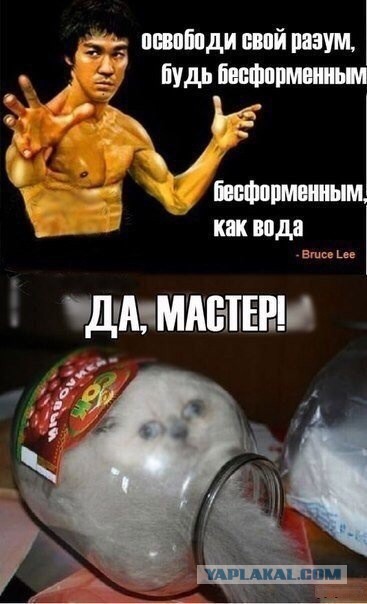 Я - Кот и мне .......