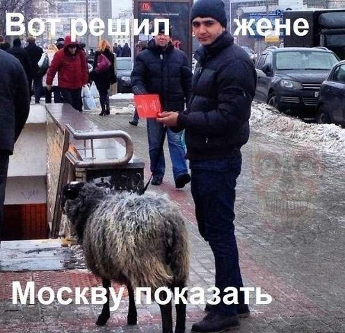 Картинки с просторов интернета