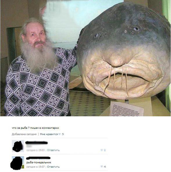 Журнал деградант