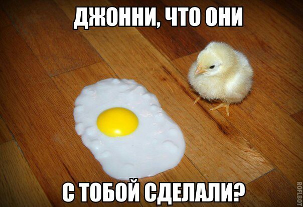 Смешные комментарии из социальных сетей 20.10.2017