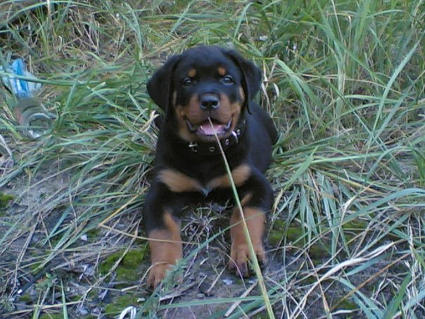 Обознался...