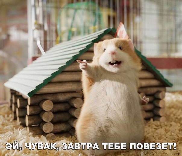 Праздник длиною в жизнь