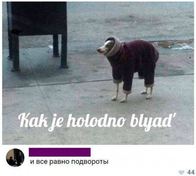 Тупик эволюции