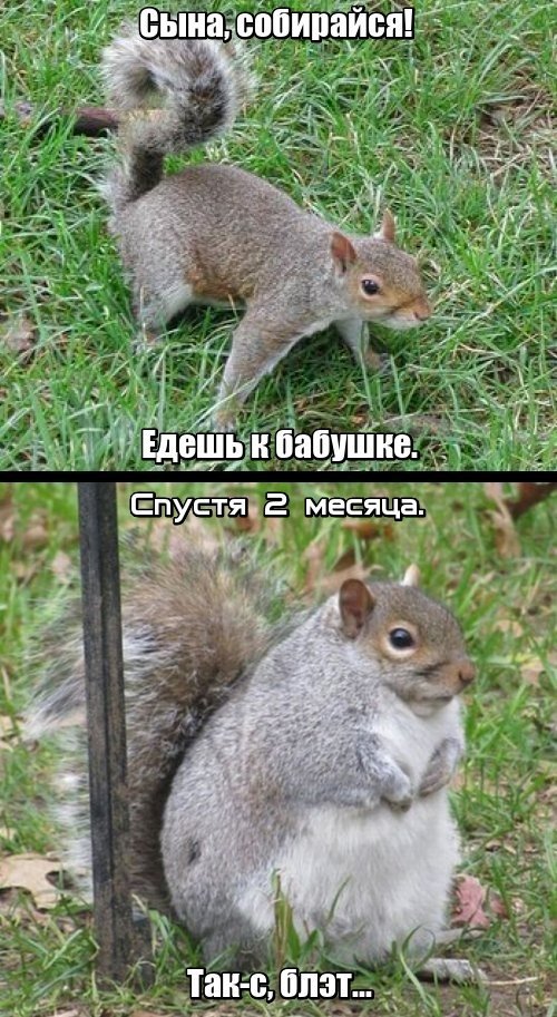 Нас преследует лайтовая воскресная деградация!