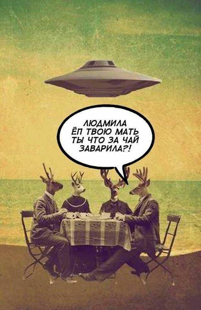 Итоги проверки пользователей