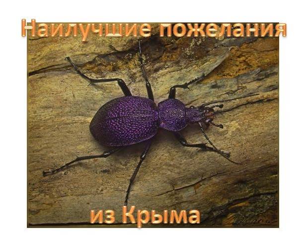 Итоги проверки пользователей