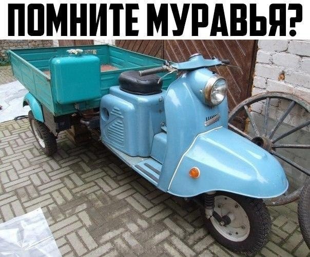 Приколы в картинках или прикольные картинки?