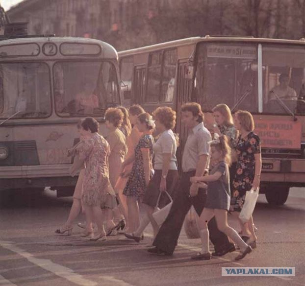 Общественный транспорт в Германии.Buss.