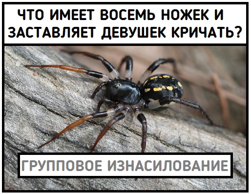 Чёрный вторник наступил! Тёмные силы вырвались на свободу...