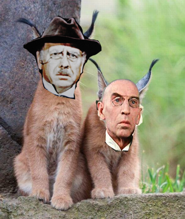 Гламурные кисы.