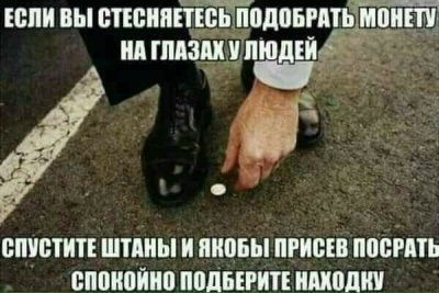 Бросай политоту, картинок завезли!