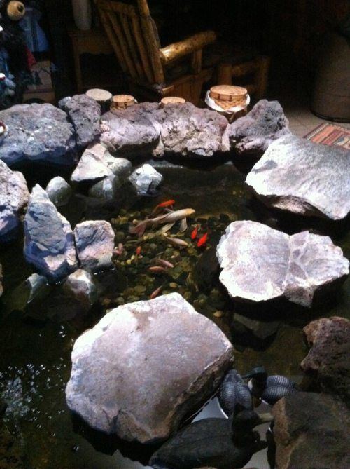 Тихий пруд... внутри дома!