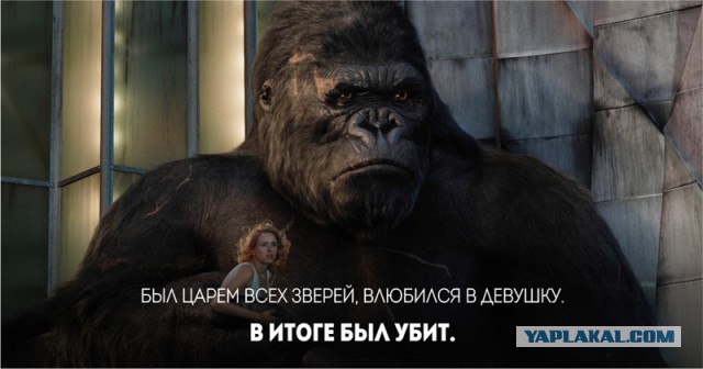 Мужская доля: после сорока лет, в одиночестве