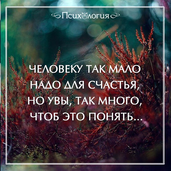 Уровень счастья в России достиг исторического максимума