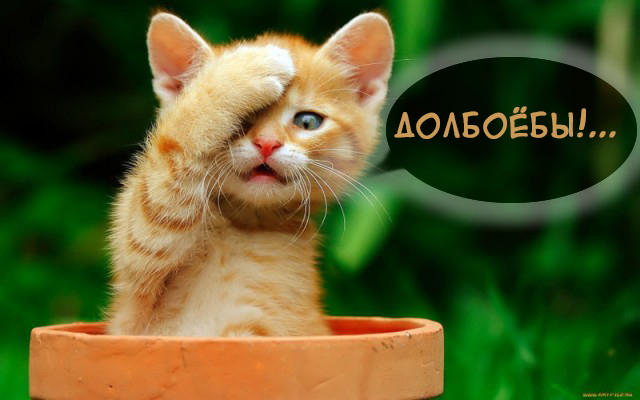 Конкурс на корпоративе