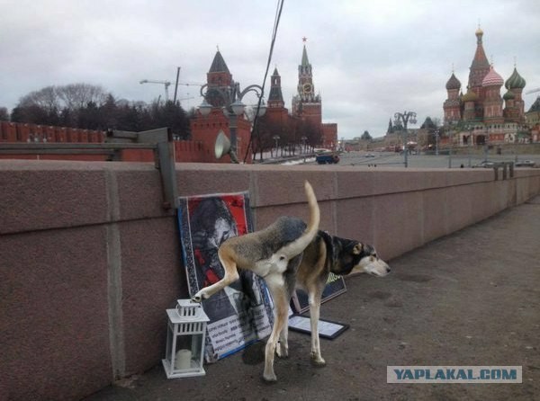 Опубликованы фото застолья убийцы Немцова в российской колонии