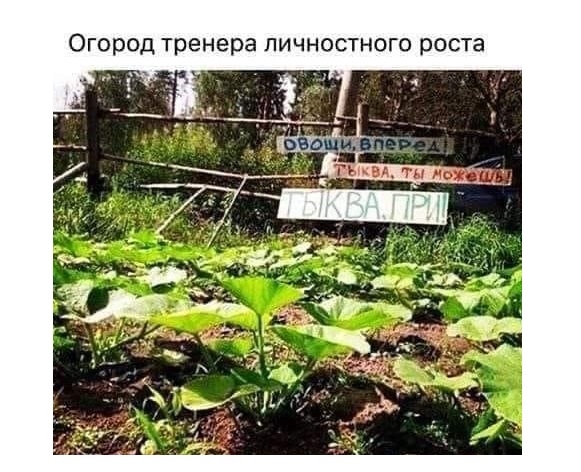 Не очень адекватный юмор