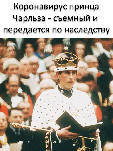 Чуток картинок 25.03.2020
