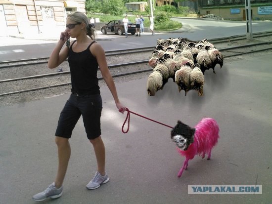 Перис Хилтон из Фрязино