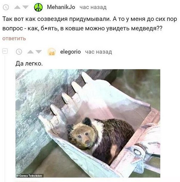 Медвежий уголок