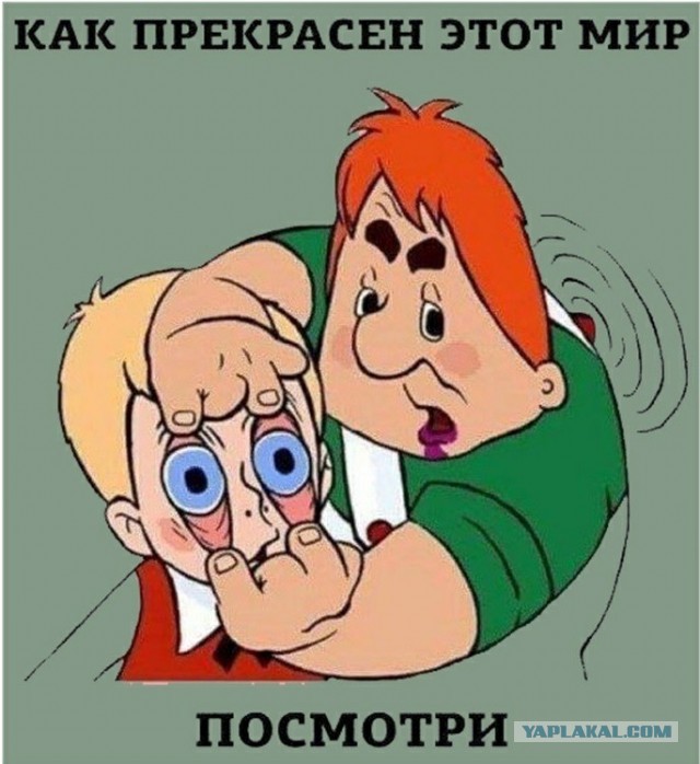 Прикольные и просто красивые картинки 26.11.2020