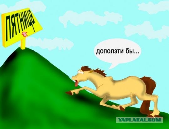 Фотожаба: если б я имел коня...