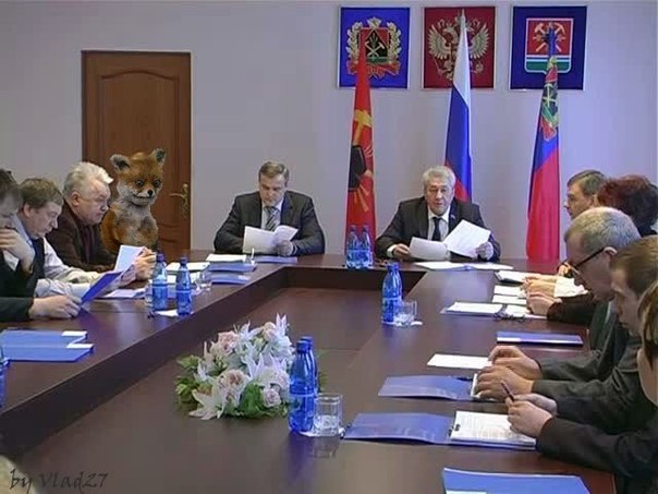 Таксидермия + наркомания