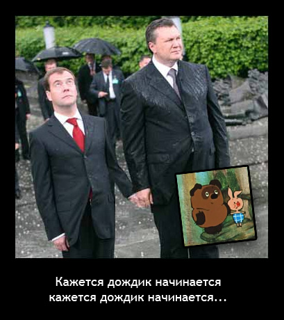 Януковича чуть не сбило венком