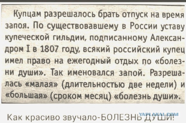 Подборка картинок 03.02.2021, часть 2