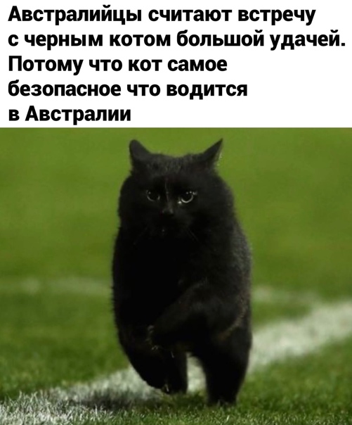 Ночной дозор