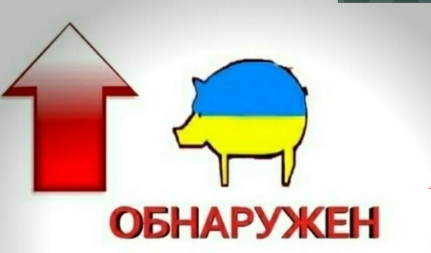 Фига Американцам или как Россия обломала планы США в Крыму