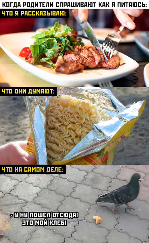 Весёлый полтишок 16.03