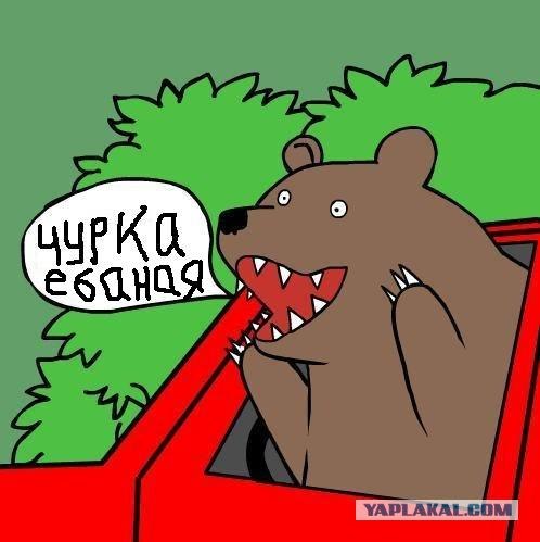 Драка в магазине «Подсолнух»