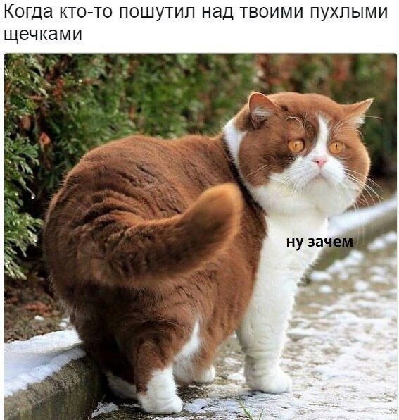 Так себе картинки 23.04.21