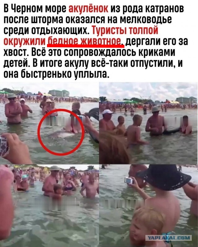 А это море у Анапы сейчас