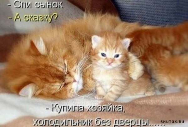 Мемасики для ЯПовцев - Часть 1