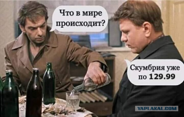 А что, если начать деградировать уже с понедельника...