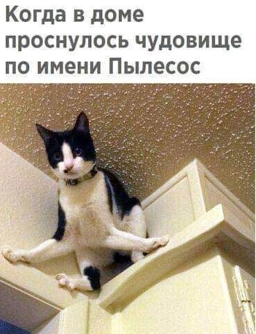 Так себе картинки 08.03.22