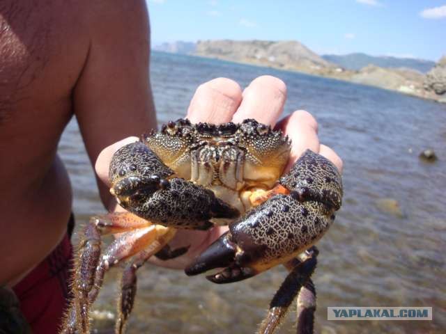 Снова о море