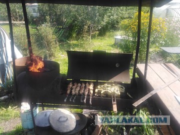 Выбор мангала