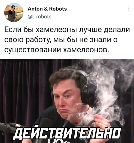 Картинки и мемы, всем хороших выходных